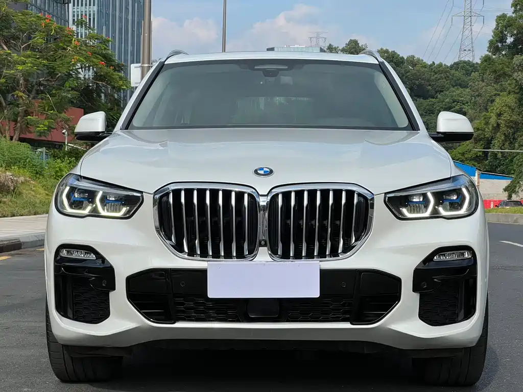 BMW X5 (Import) — фото 2