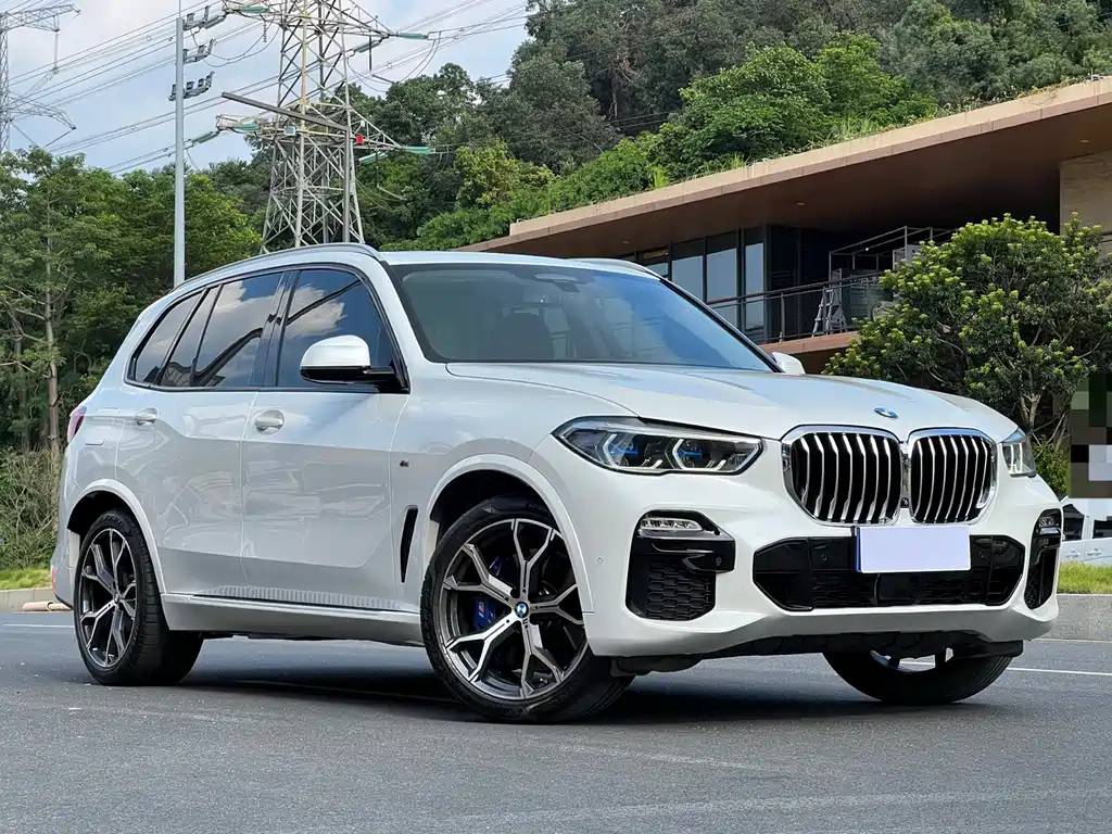 BMW X5 (Import) — фото 3