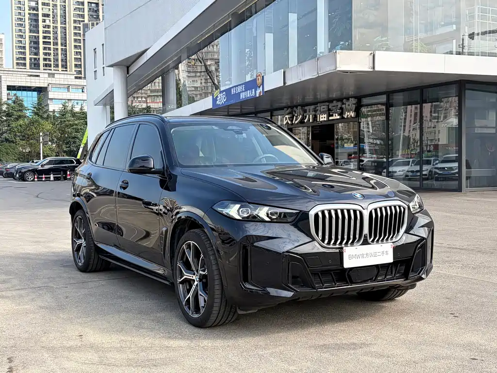 BMW X5 — фото 3