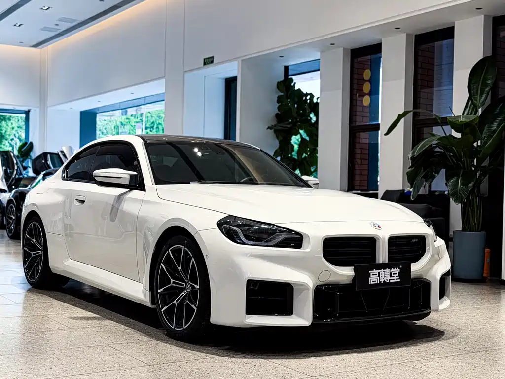 BMW M2 — фото 4