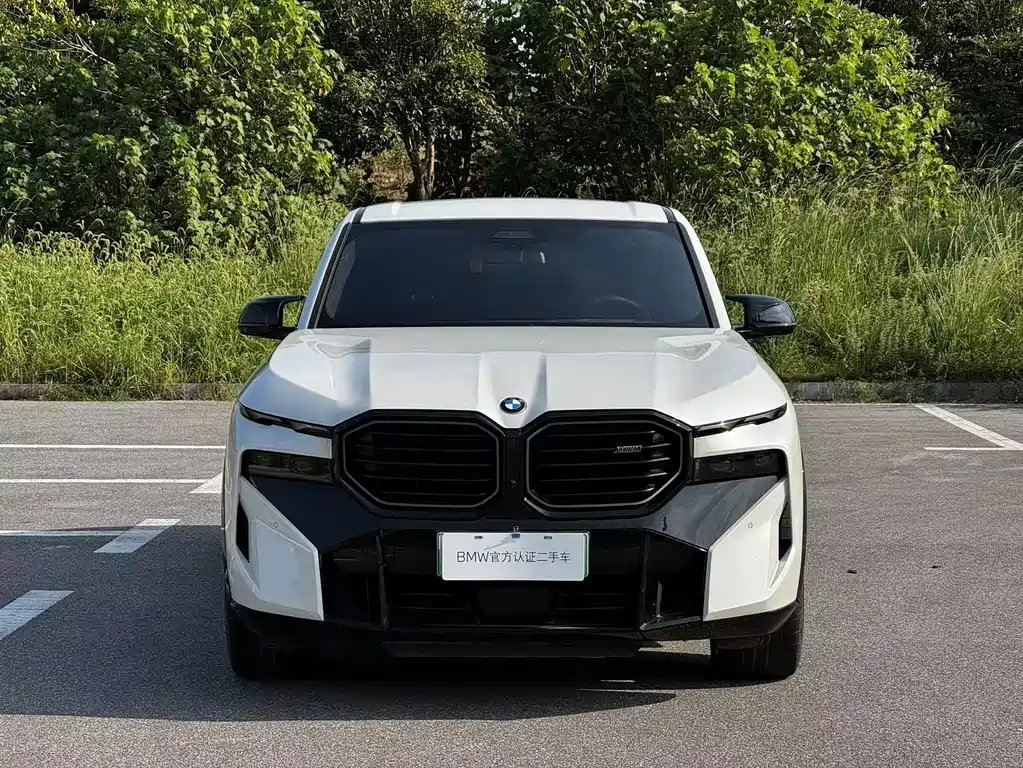 BMW XM — фото 3