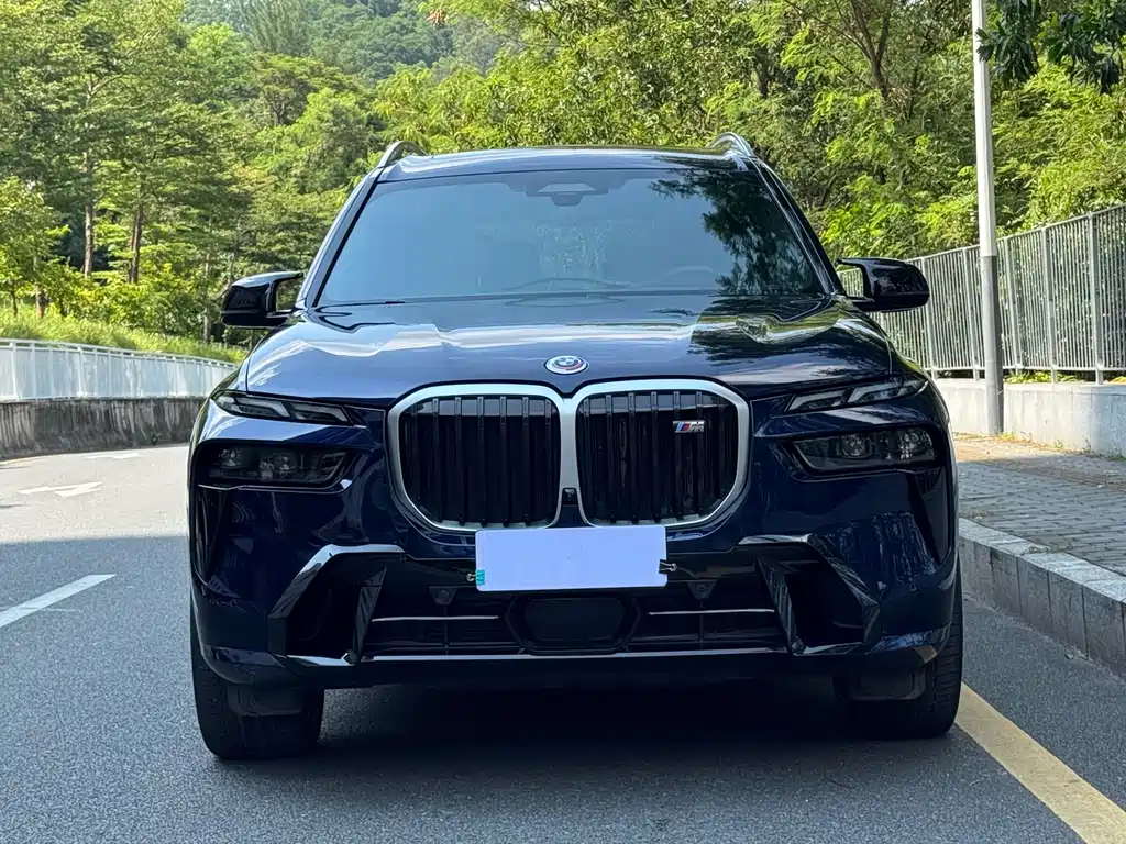 BMW X7 M60i — фото 6