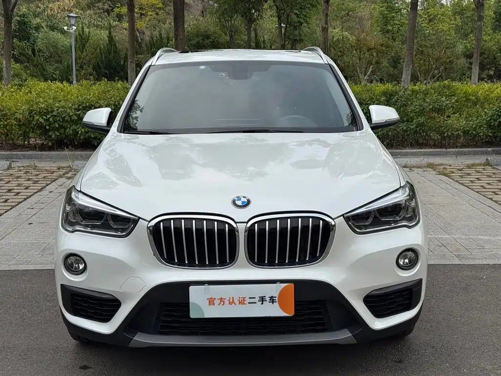 BMW X1 — фото 2