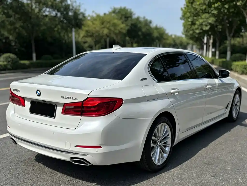 BMW 5 Series New Energy — фото 6