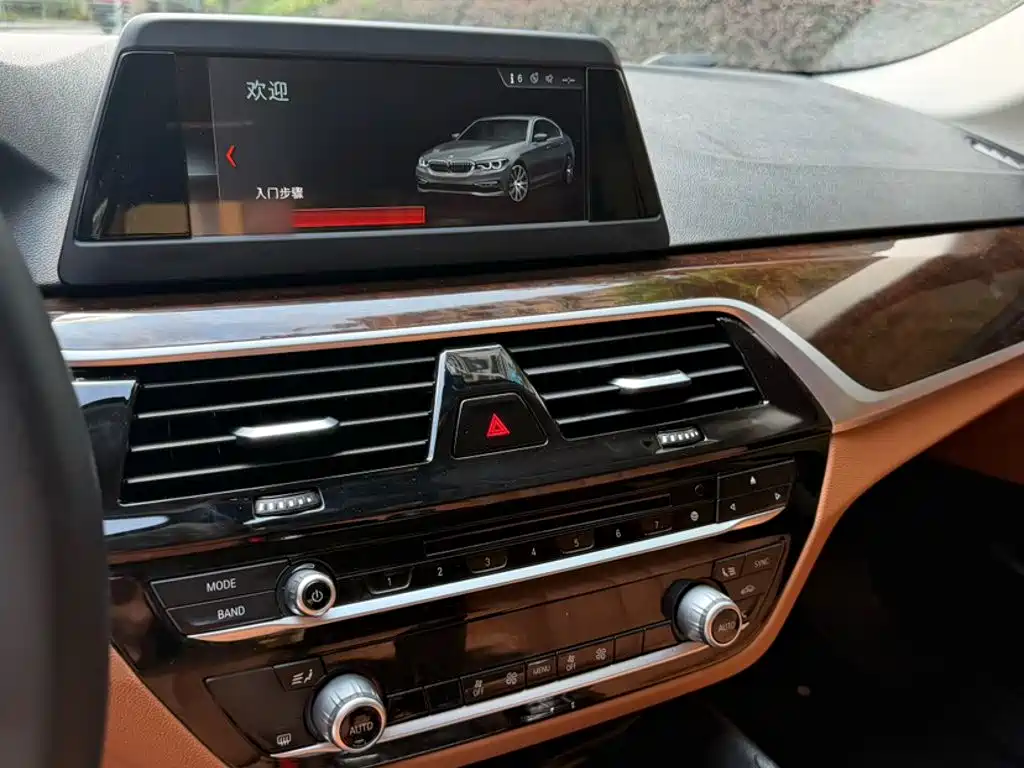 BMW 5 Series — фото 20
