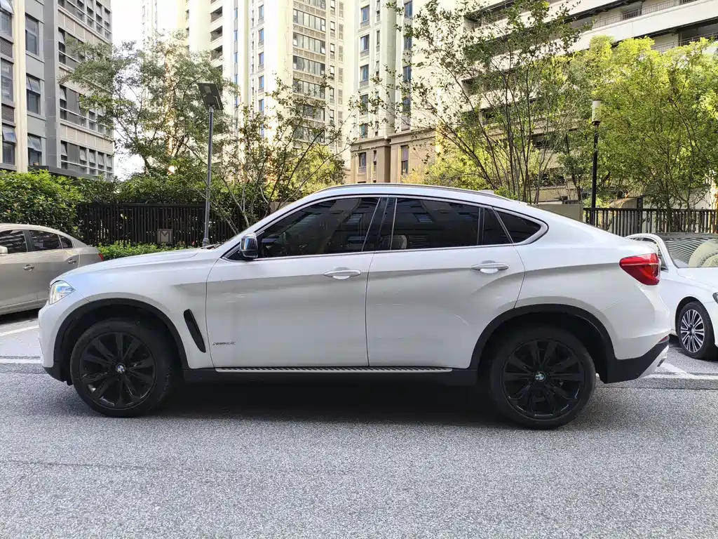 BMW X6 — фото 8