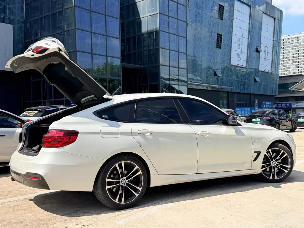 BMW 3 Series GT — фото 6
