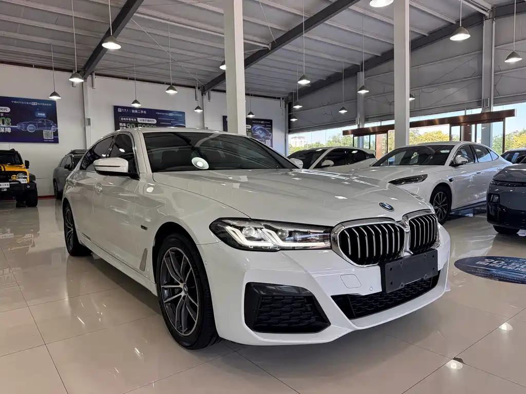 BMW 5 Series New Energy — фото 3