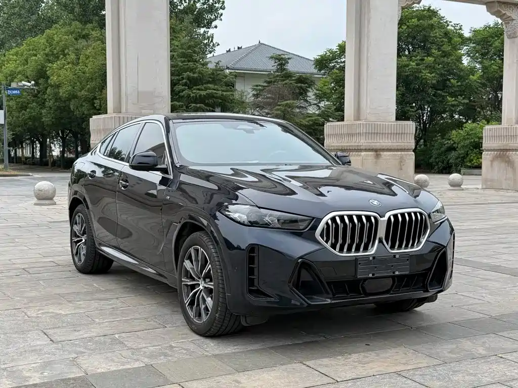 BMW X6 — фото 3