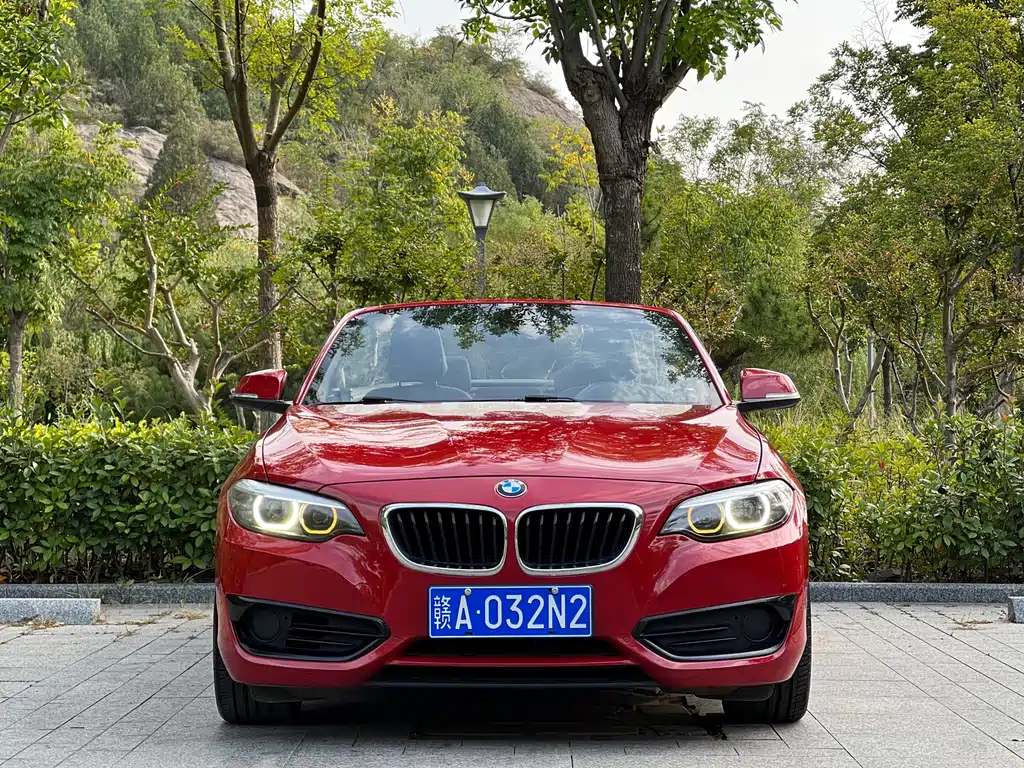 BMW 2 Series (Import) — фото 2