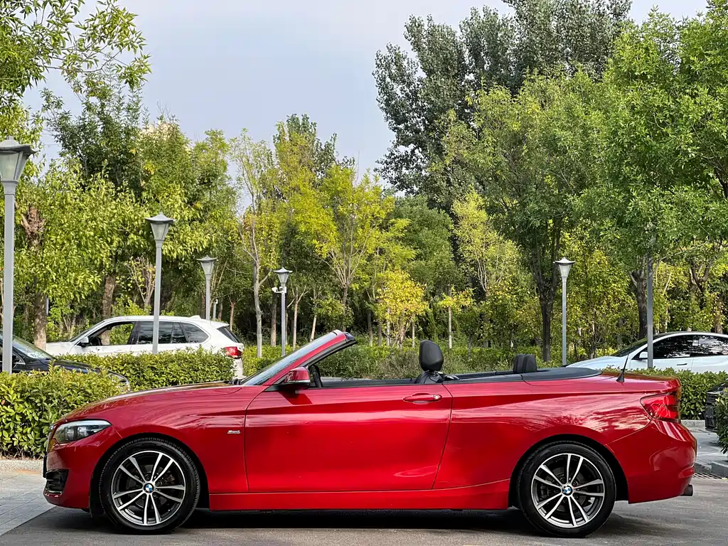 BMW 2 Series (Import) — фото 7