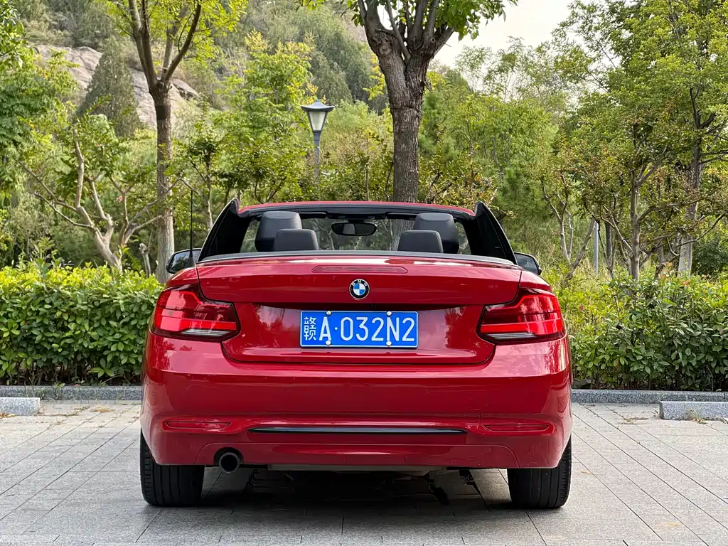 BMW 2 Series (Import) — фото 8