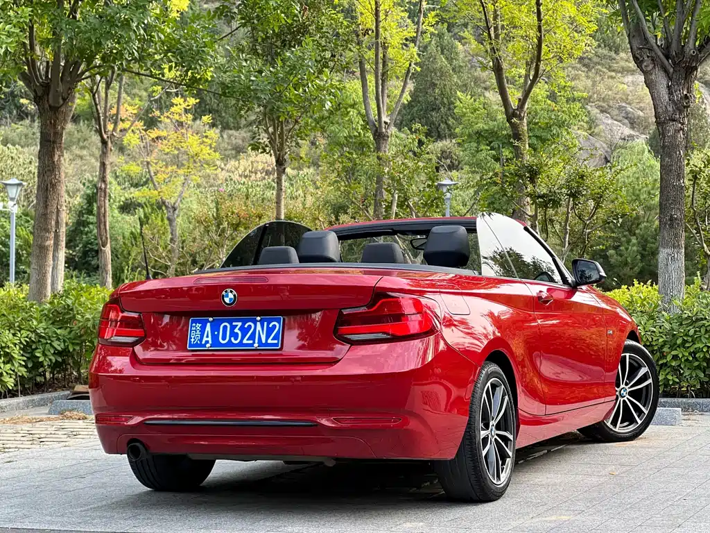 BMW 2 Series (Import) — фото 9