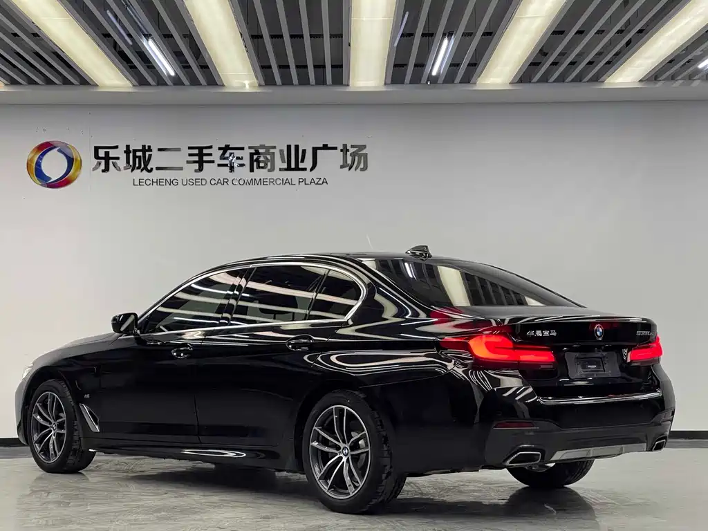 BMW 5 Series New Energy — фото 19