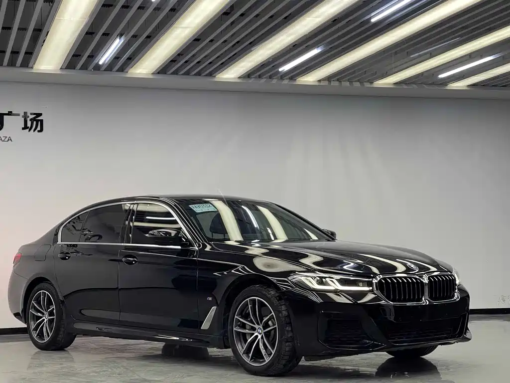 BMW 5 Series New Energy — фото 3