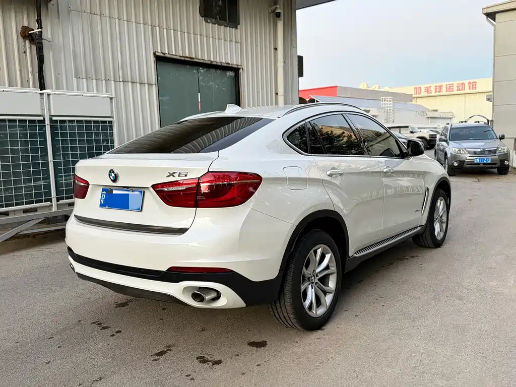 BMW X6 — фото 12