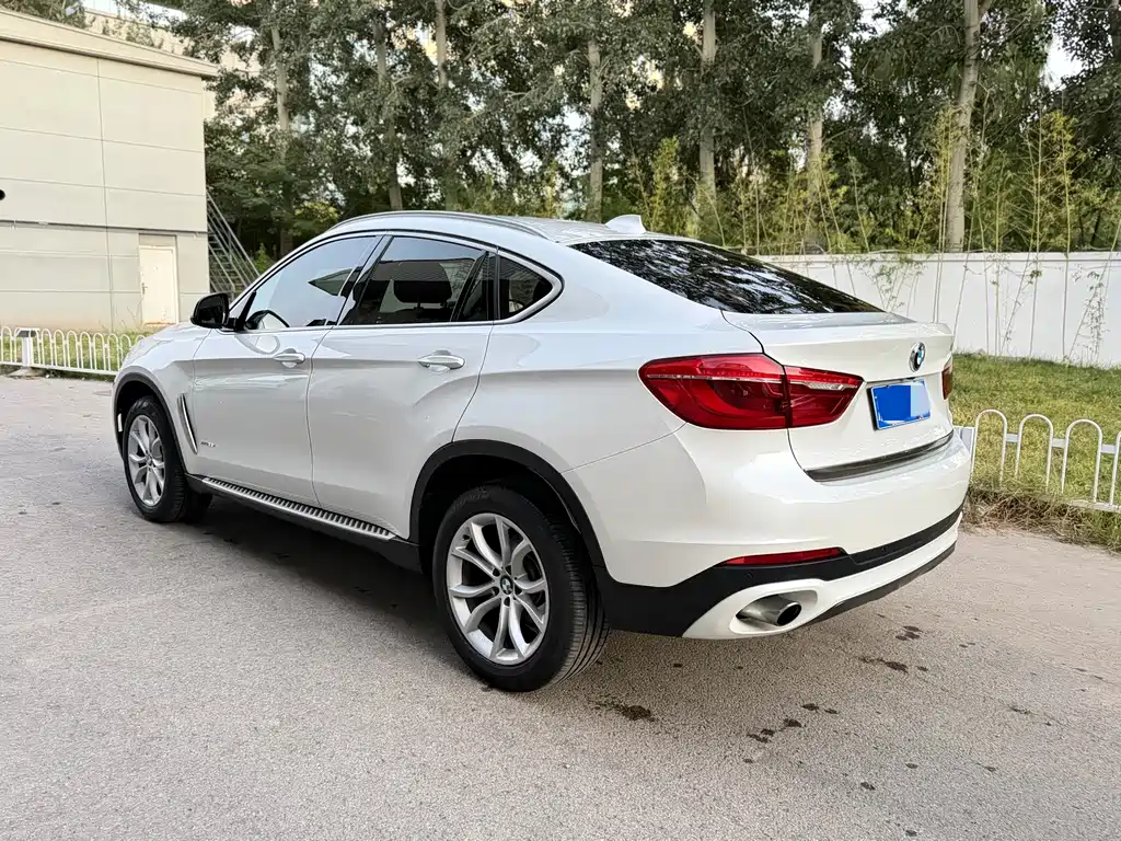BMW X6 — фото 10