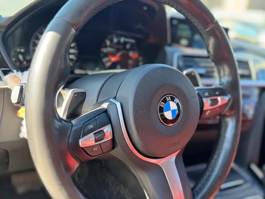 BMW 3 Series — фото 11