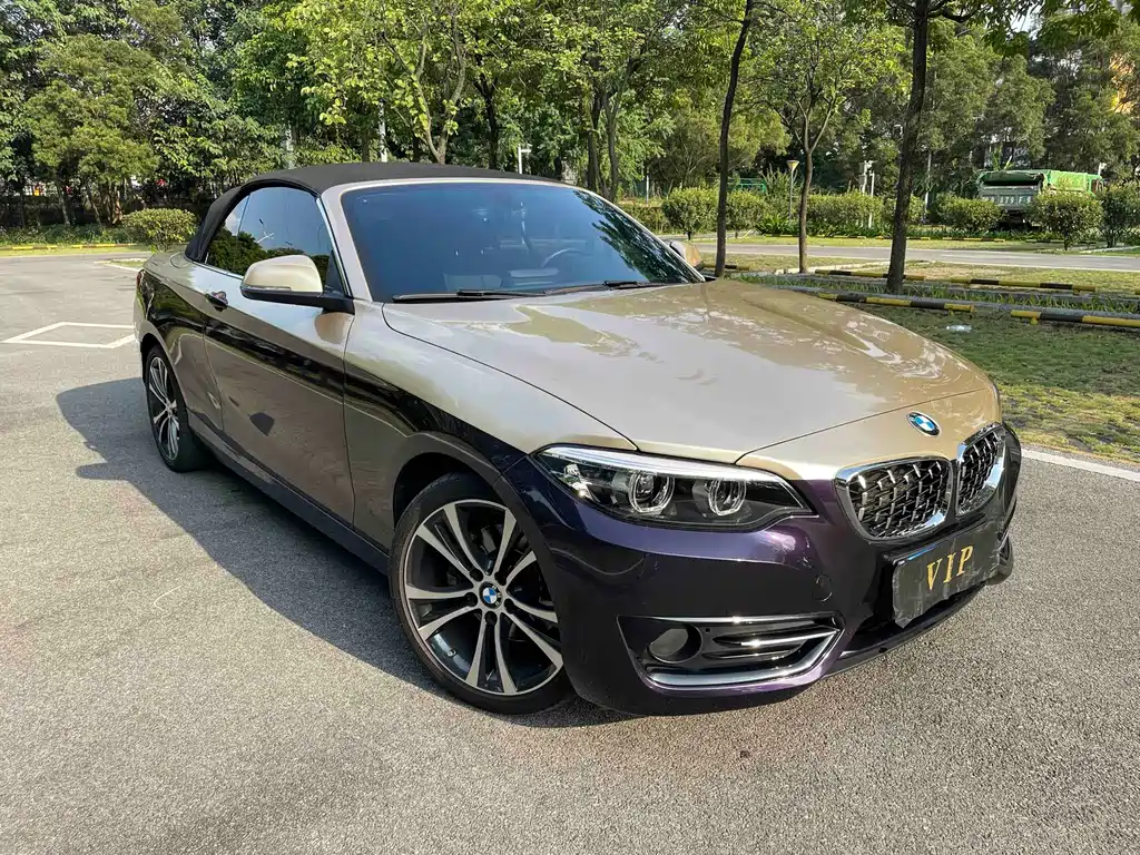 BMW 2 Series (Import) — фото 3