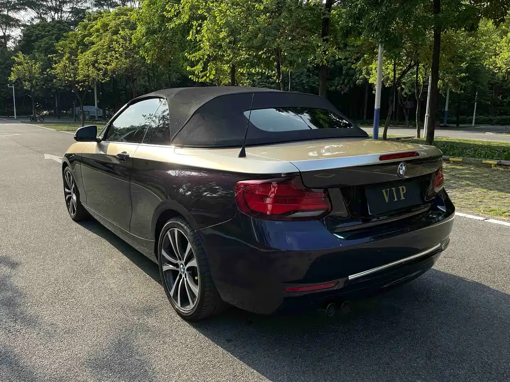 BMW 2 Series (Import) — фото 4