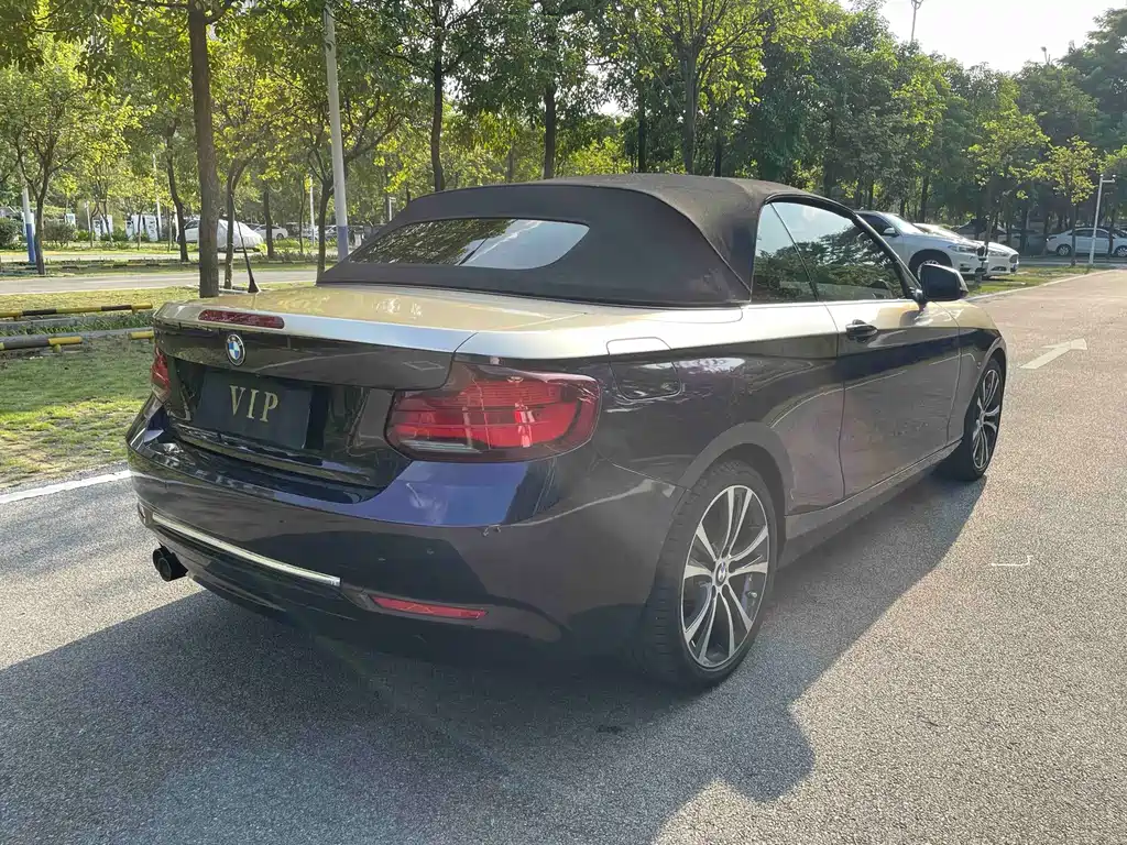 BMW 2 Series (Import) — фото 6