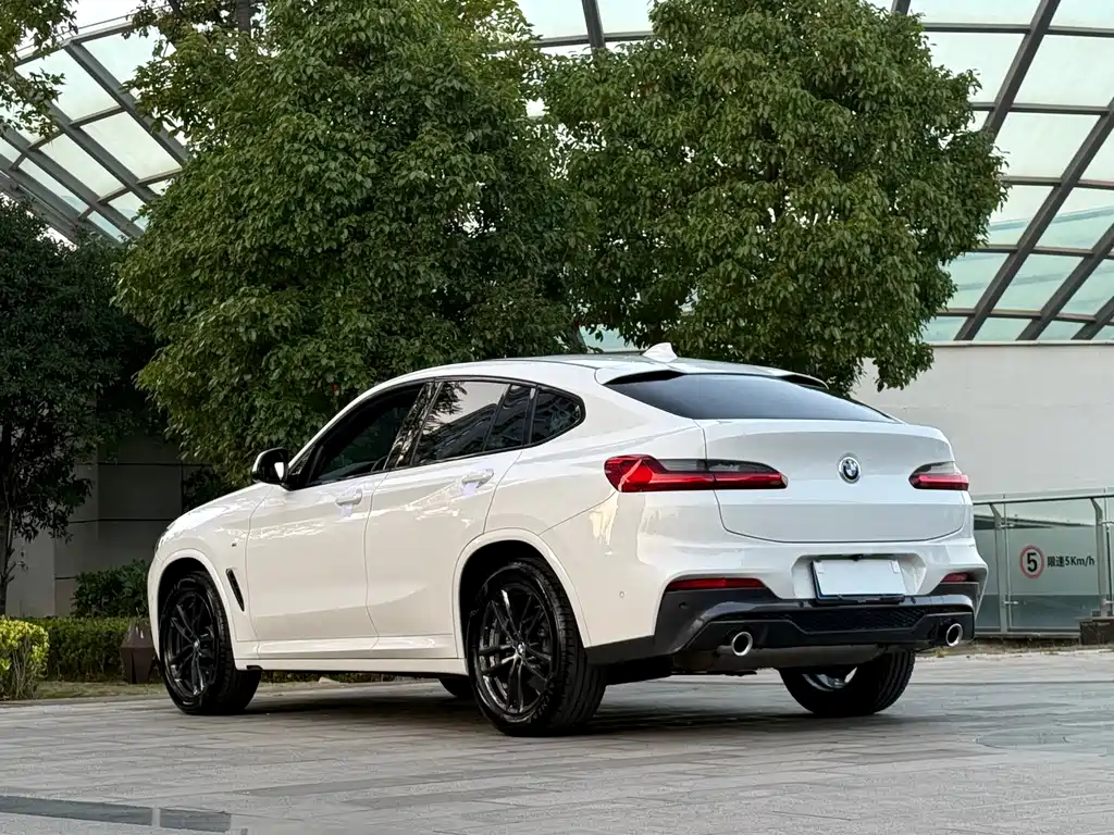 BMW X4 — фото 9