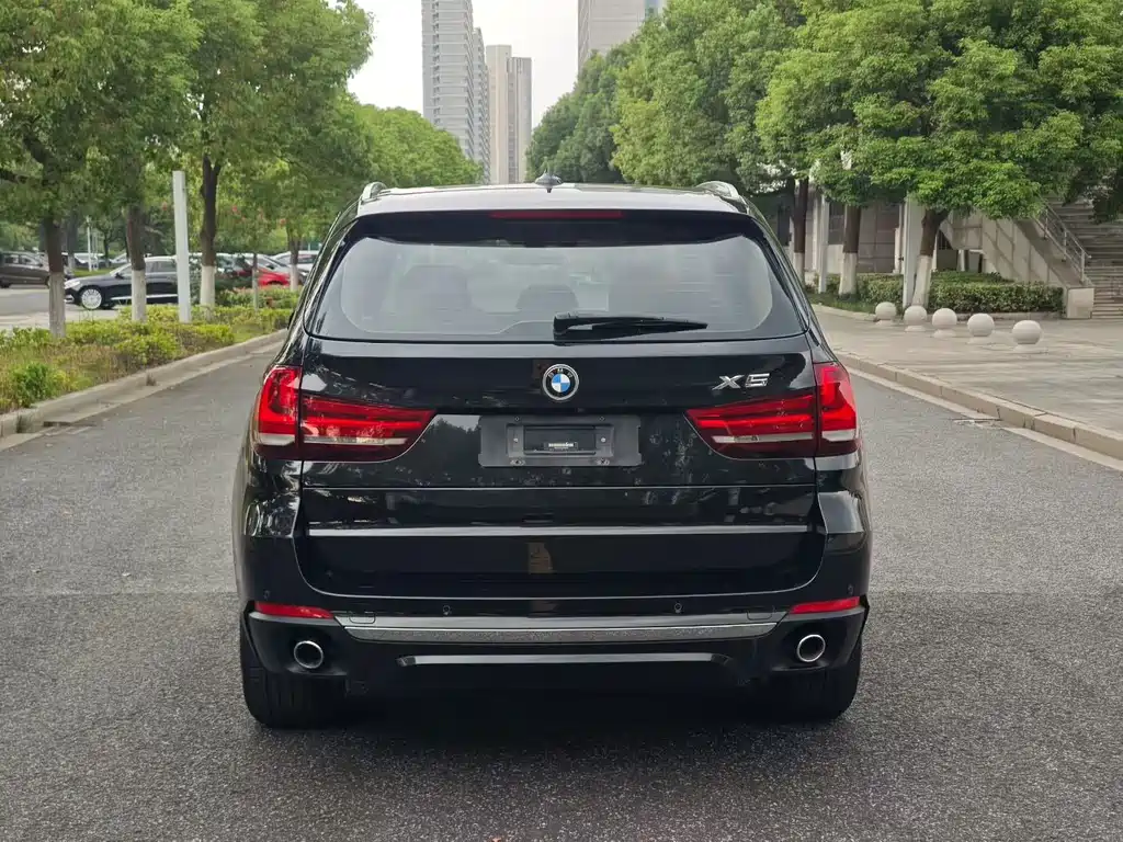 BMW X5 (Import) — фото 5
