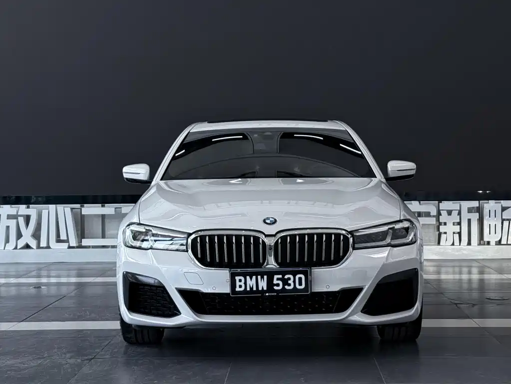 BMW 5 Series — фото 2