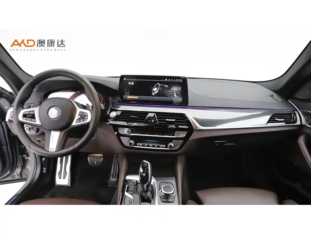 BMW 5 Series (Import) — фото 5