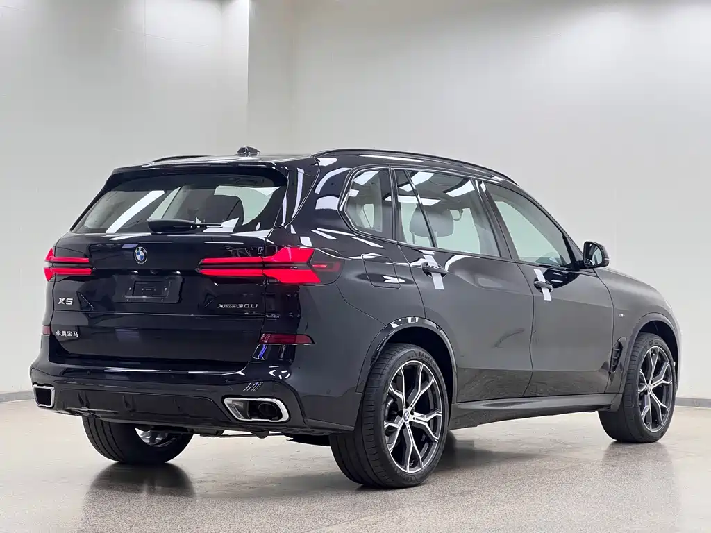 BMW X5 — фото 5