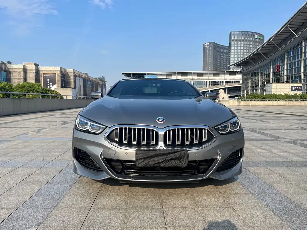 BMW 8 Series — фото 3