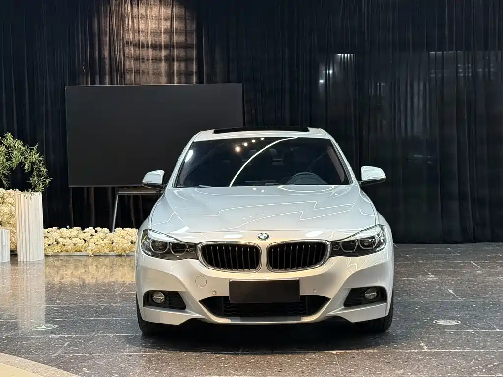 BMW 3 Series GT — фото 2
