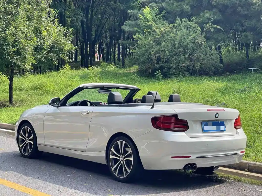 BMW 2 Series (Import) — фото 4
