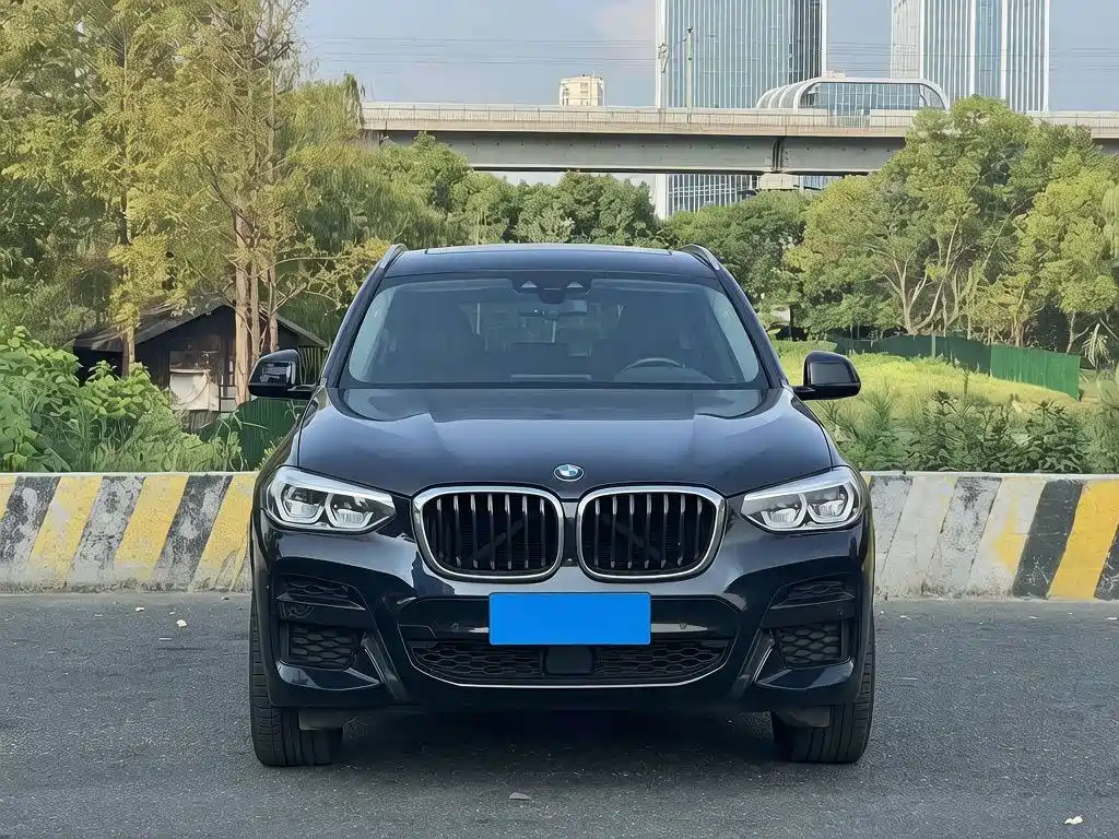 BMW X3 — фото 2