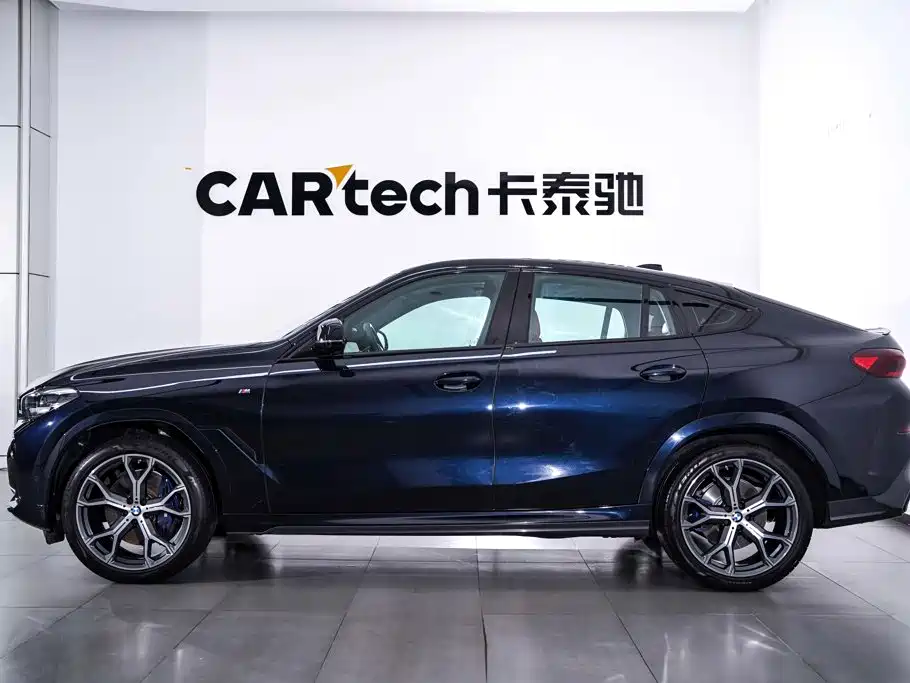 BMW X6 — фото 8