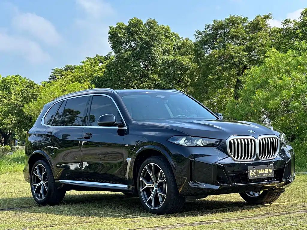 BMW X5 — фото 3