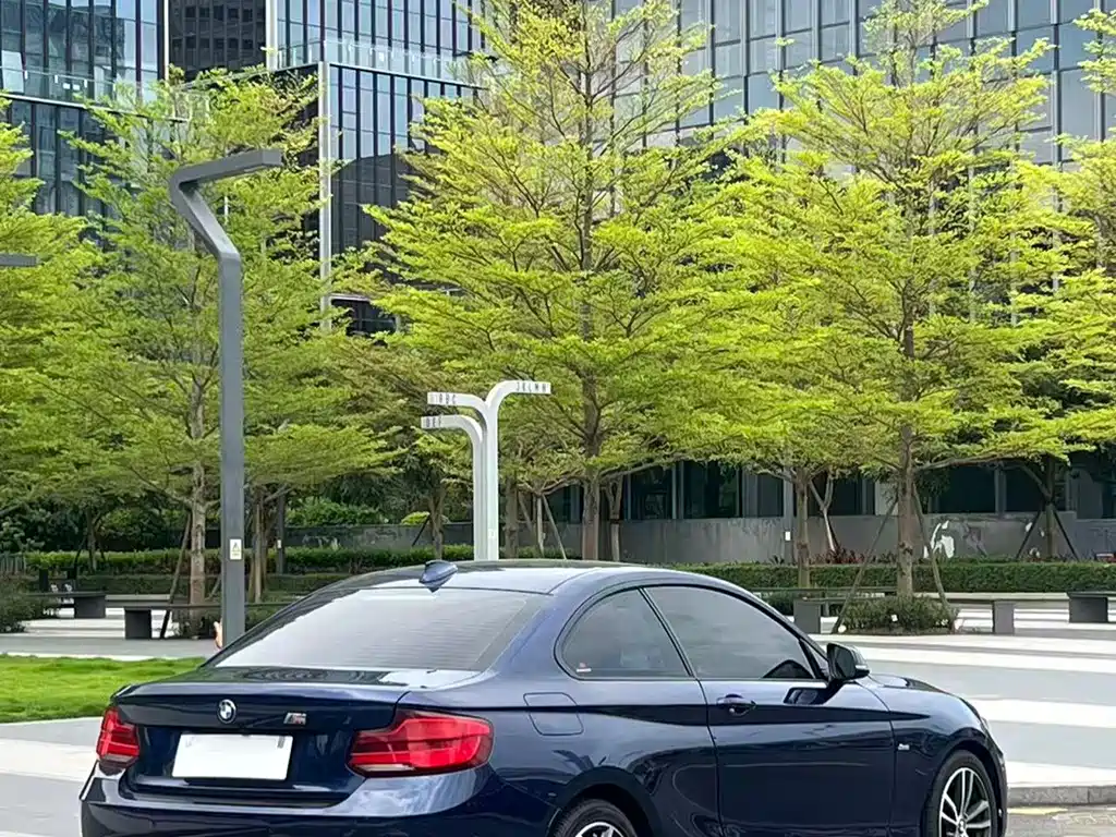 BMW 2 Series (Import) — фото 13