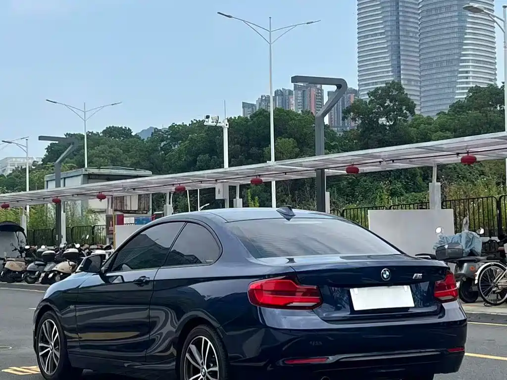 BMW 2 Series (Import) — фото 14