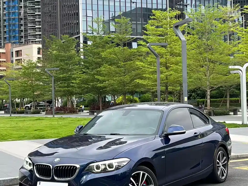 BMW 2 Series (Import) — фото 4