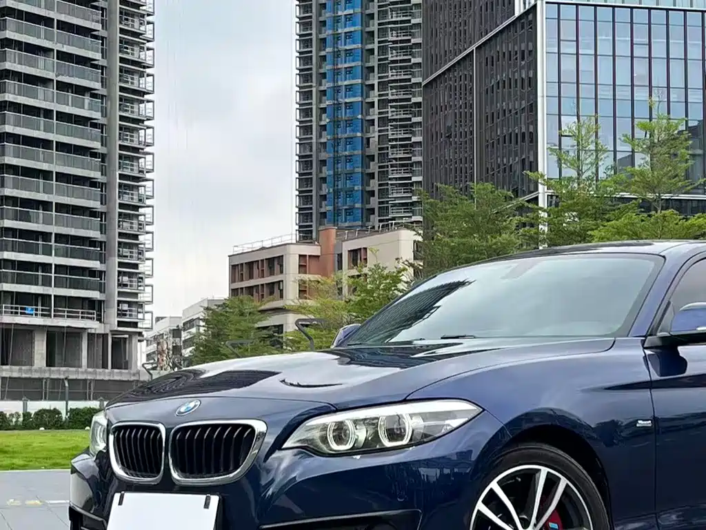 BMW 2 Series (Import) — фото 5
