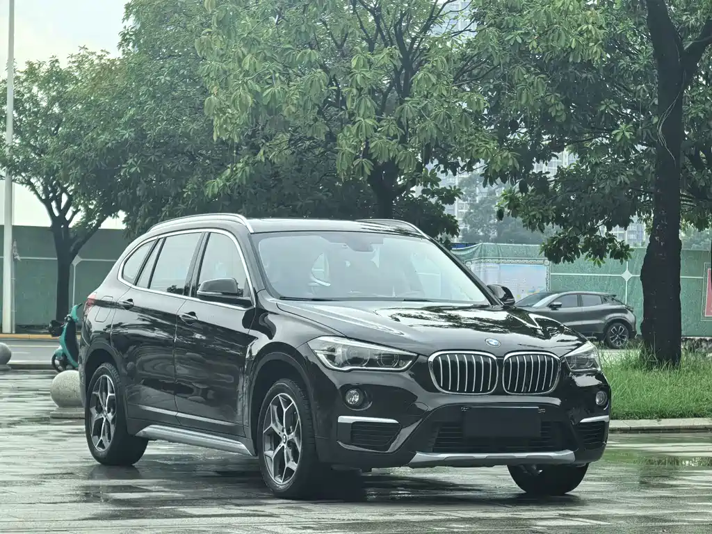 BMW X1 — фото 3