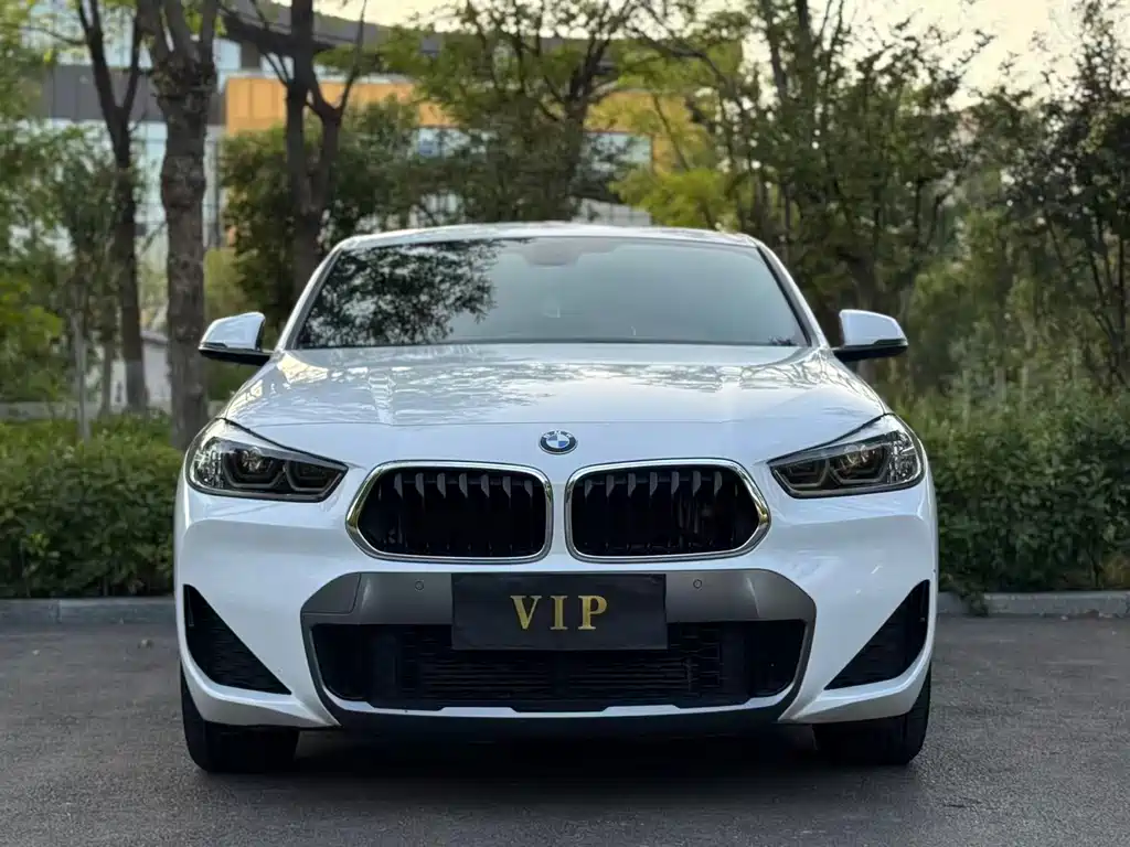 BMW X2 — фото 2