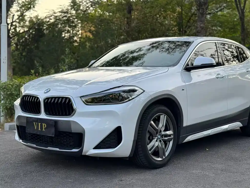BMW X2 — фото 8