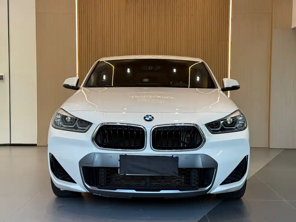 BMW X2 — фото 2