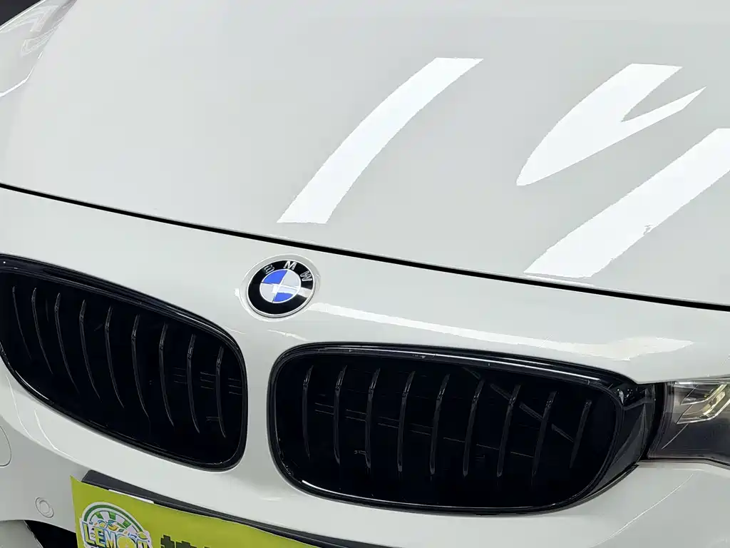 BMW 3 Series GT — фото 10