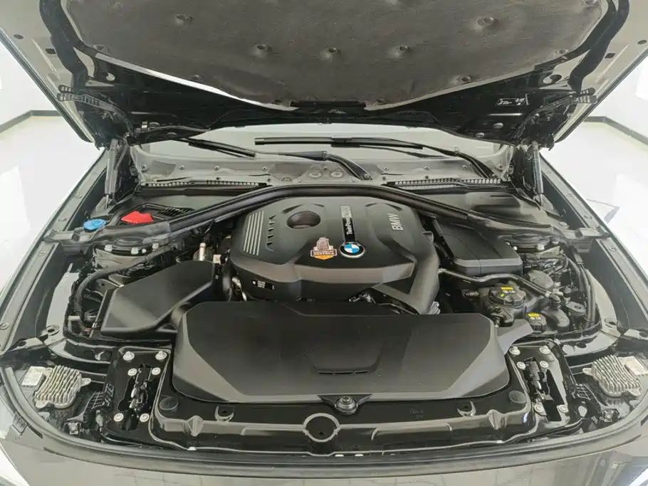 BMW 3 Series GT — фото 10