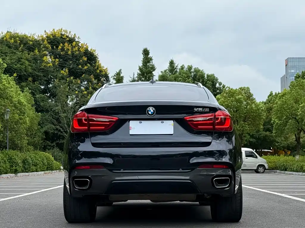 BMW X6 — фото 4