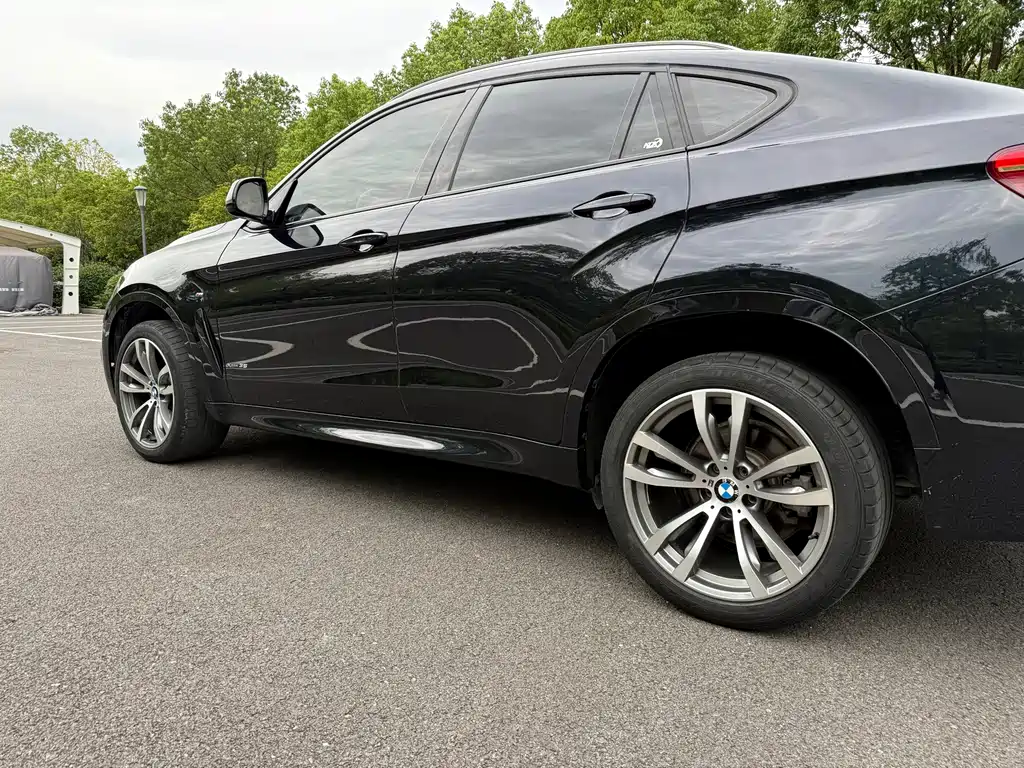 BMW X6 — фото 6