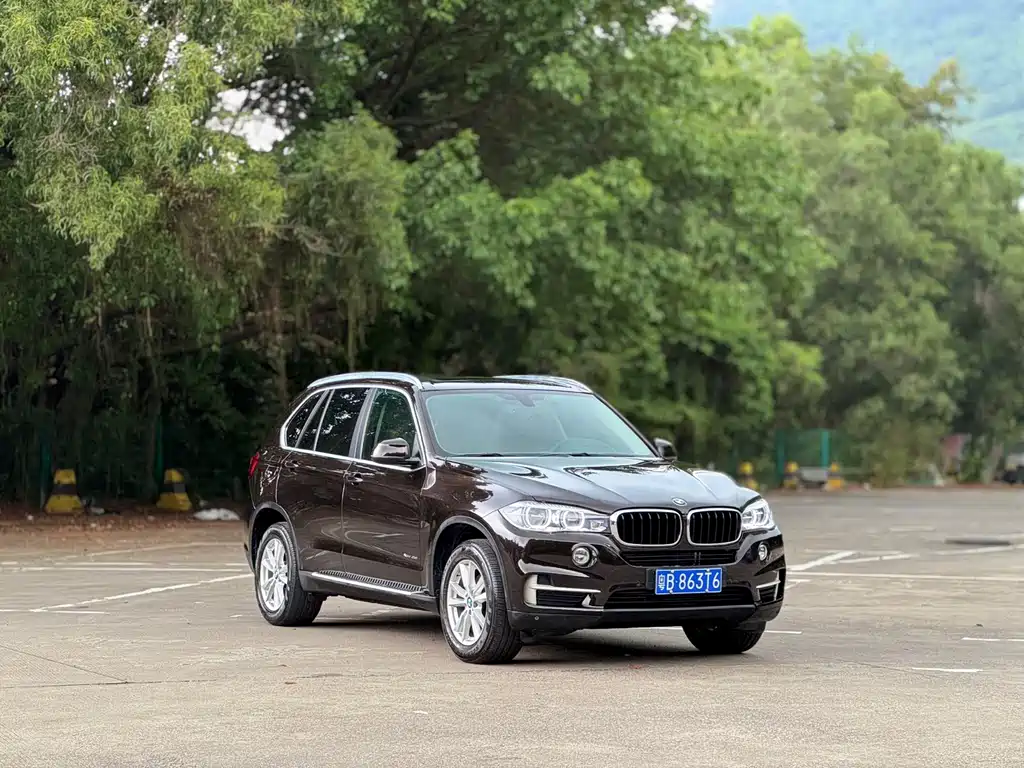 BMW X5 (Import) — фото 21
