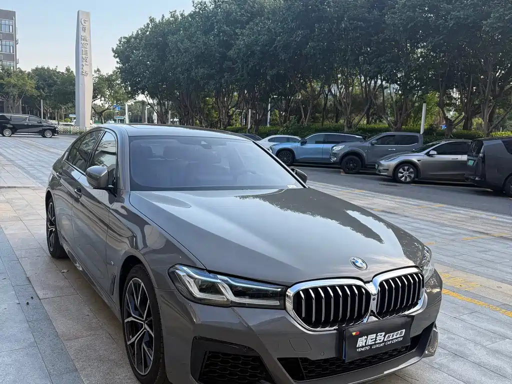 BMW 5 Series (Import) — фото 8